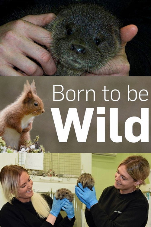 Born to Be Wild poster