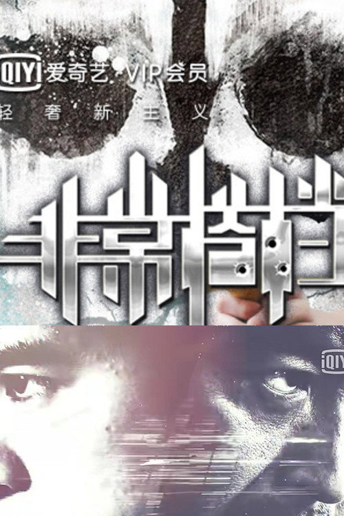 非常搭档 poster