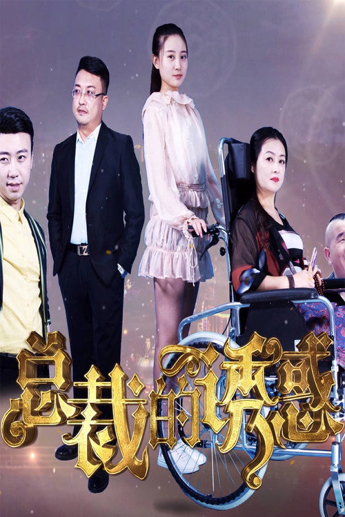 总裁的诱惑 poster