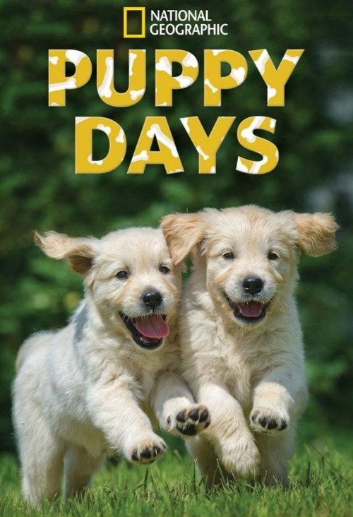 Puppy Days poster