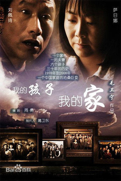 我的孩子我的家 poster