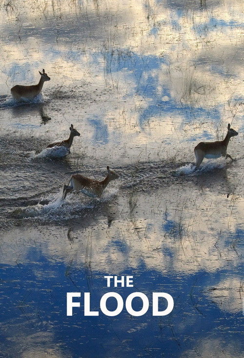 The Flood poster