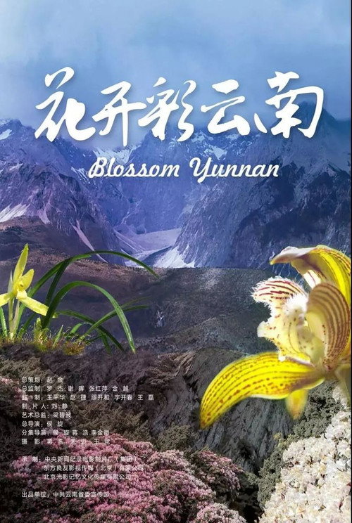 Blossom Yunnan poster