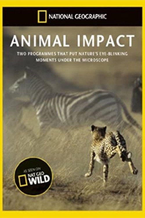 Animal Impact poster