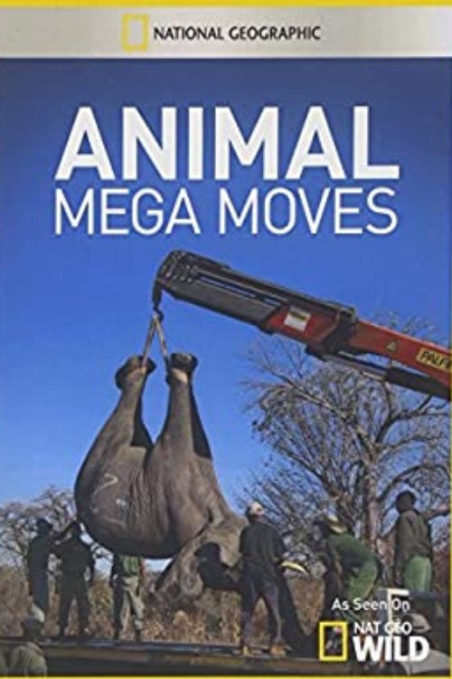 Animal Mega Moves poster