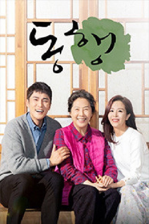 동행 poster