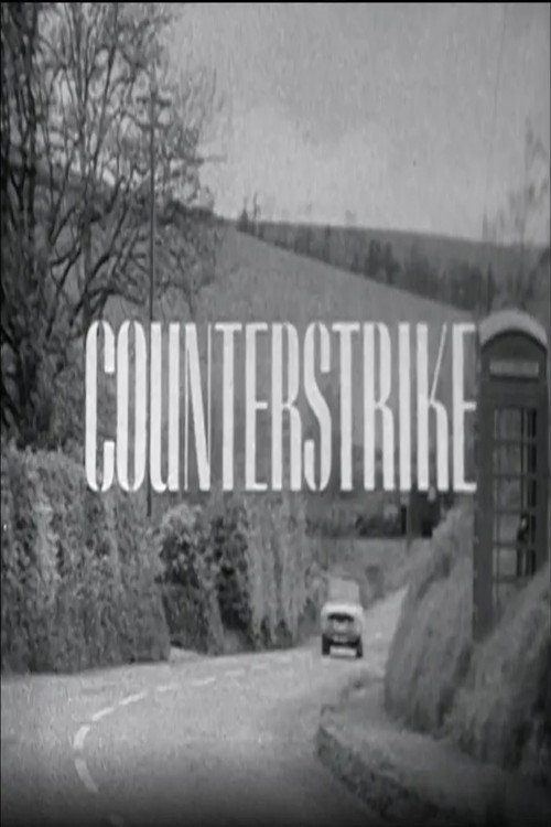 Counterstrike poster
