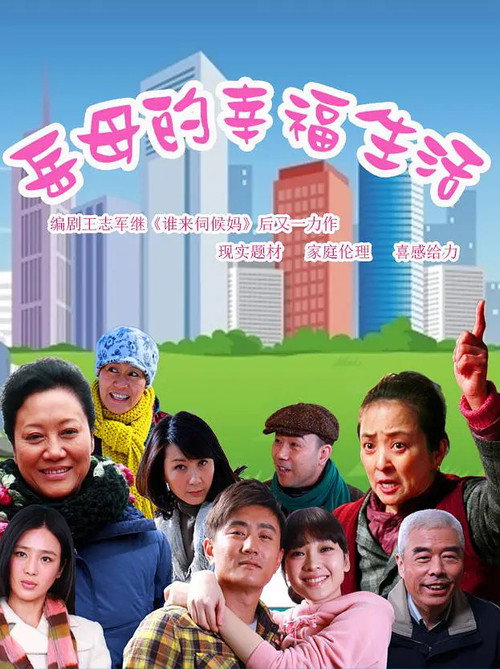 岳母的幸福生活 (2012) poster