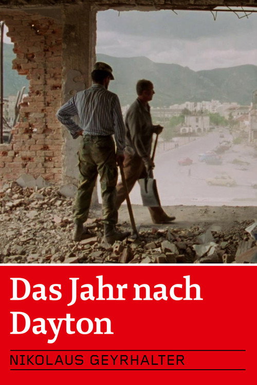 Das Jahr nach Dayton poster