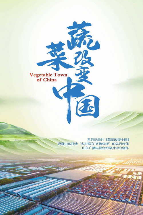 蔬菜改变中国 poster