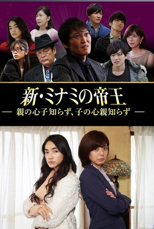 新・ミナミの帝王～親の心子知らず、子の心親知らず～ poster
