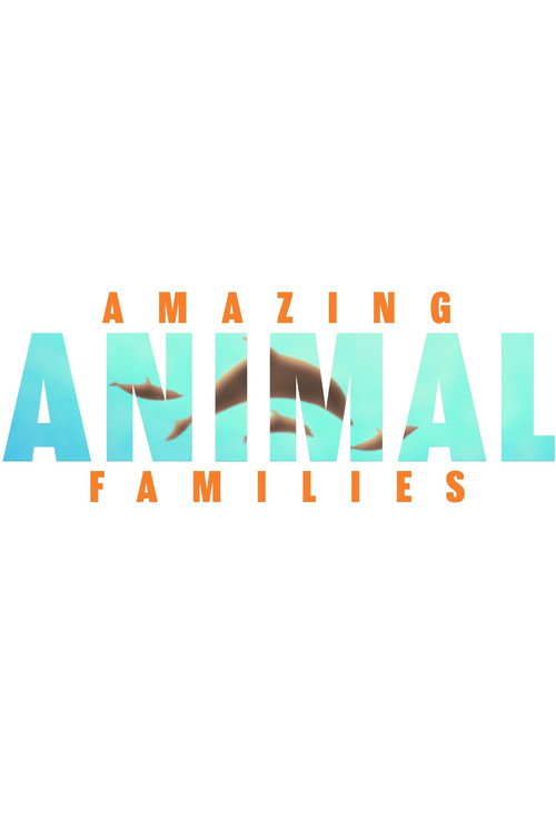 Amazing Animal Families poster