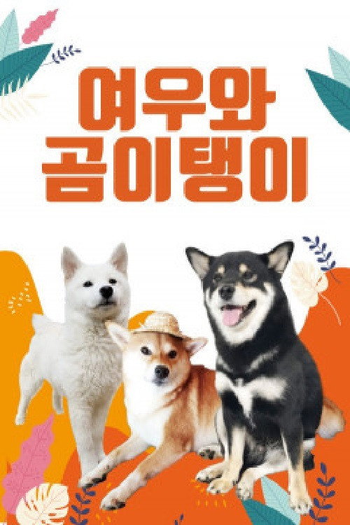 여우와 곰이탱이 poster