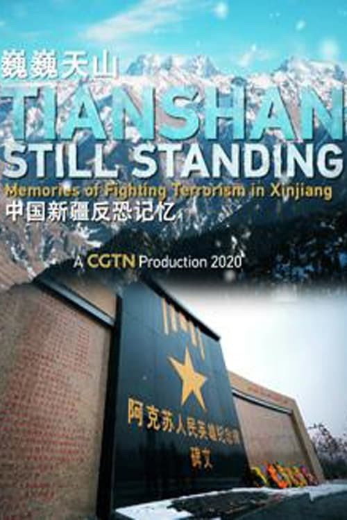 中国新疆反恐纪录 poster