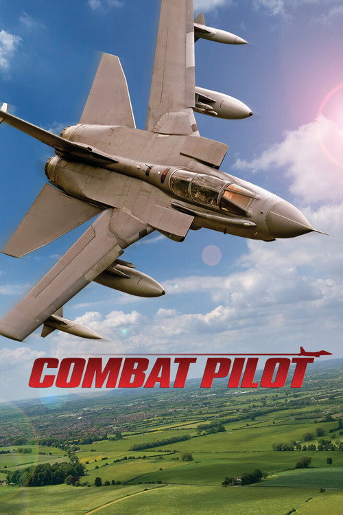 Combat Pilot poster
