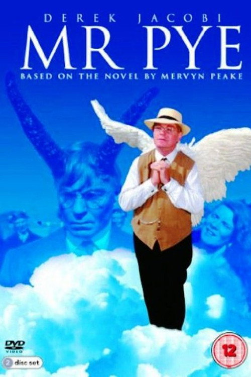 Mr Pye poster