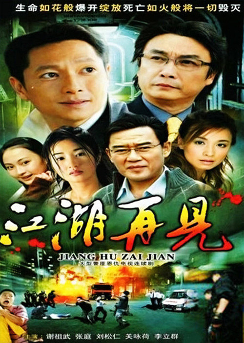 江湖再见 poster