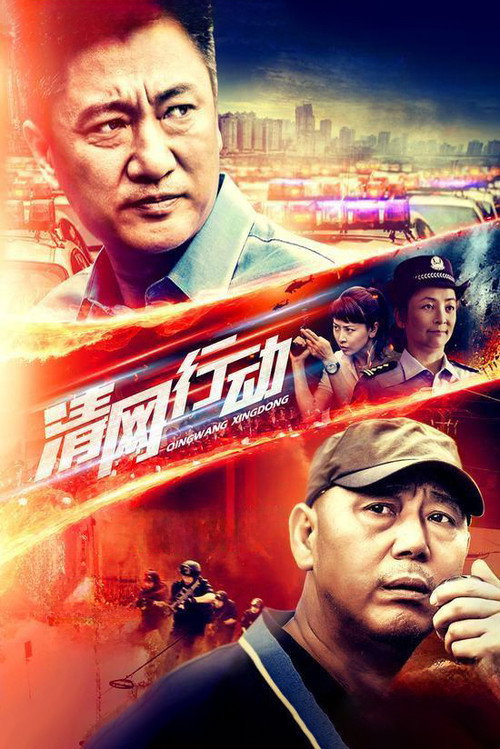 清网行动 poster