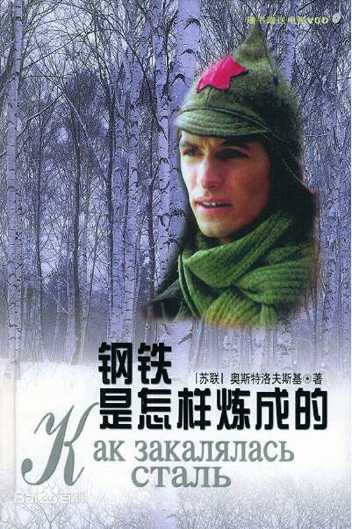 钢铁是怎样炼成的 poster