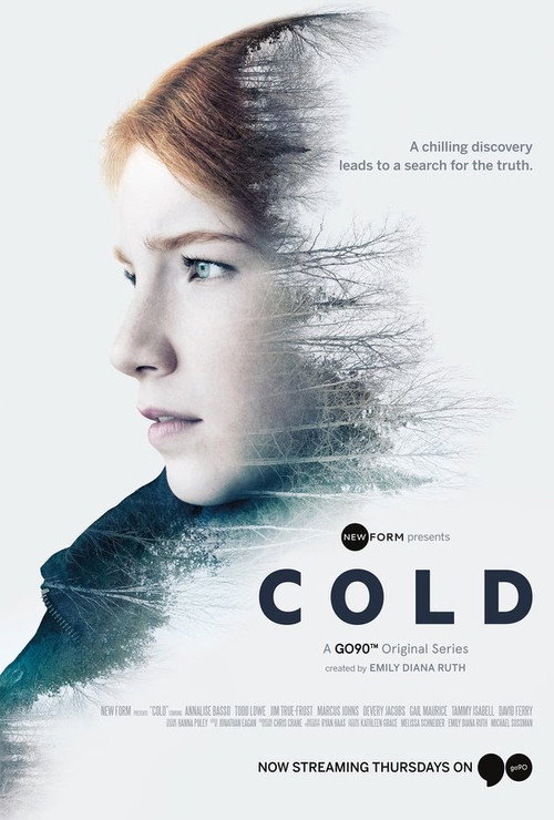 Холод poster