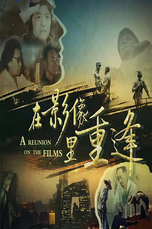 在影像里重逢 poster