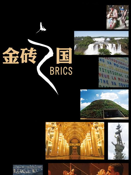 金砖之国 poster