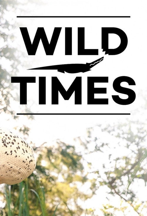 Wild Times poster