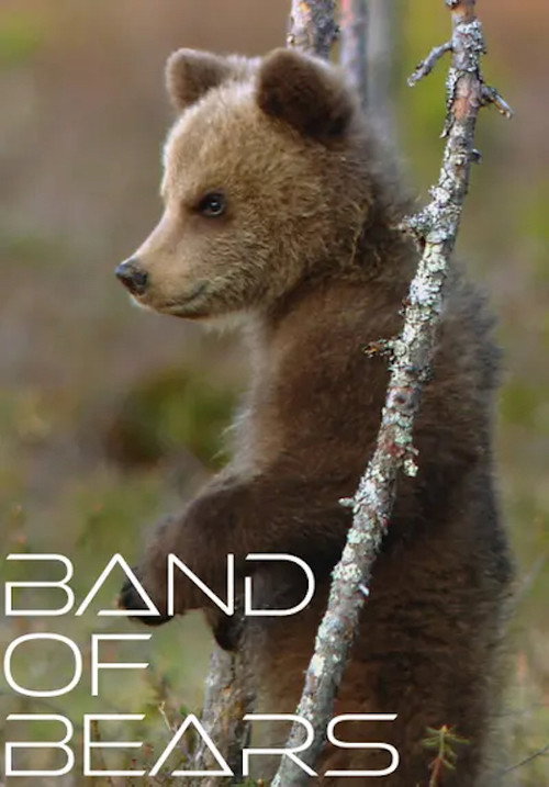 Band of Bears poster