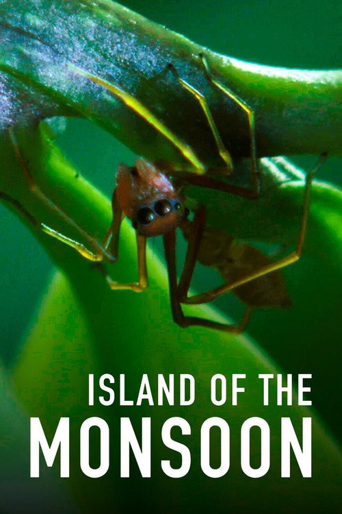 Island of the Monsoon poster