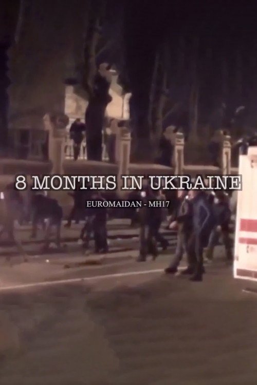 8 Months in Ukraine poster