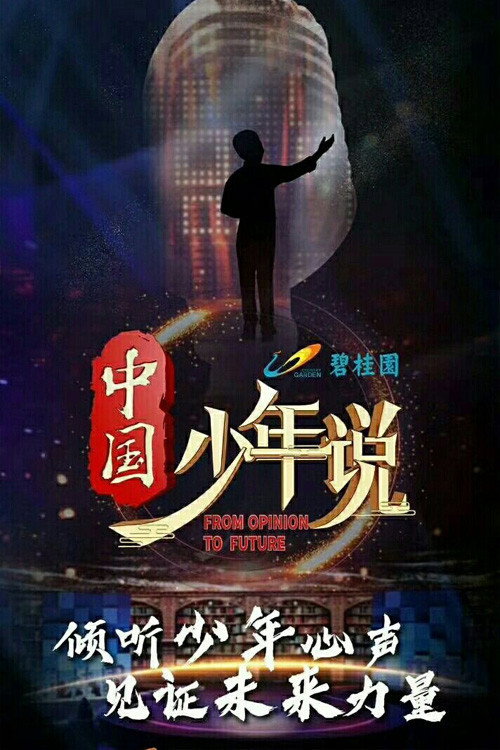 中国少年说 poster