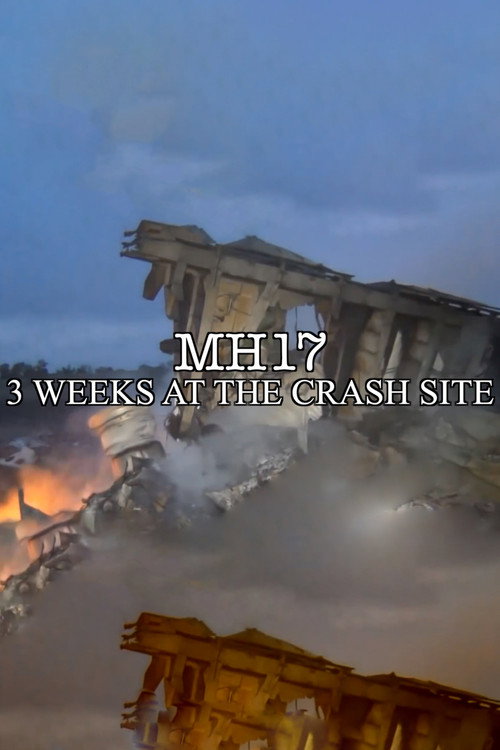 MH17 poster