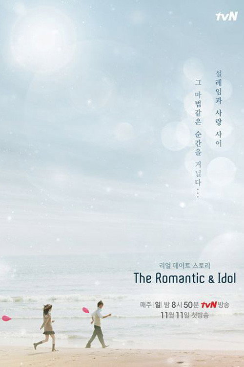 The Romantic & Idol poster