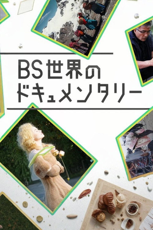 BS世界のドキュメンタリー poster