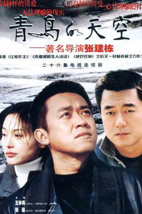 青鸟的天空 poster
