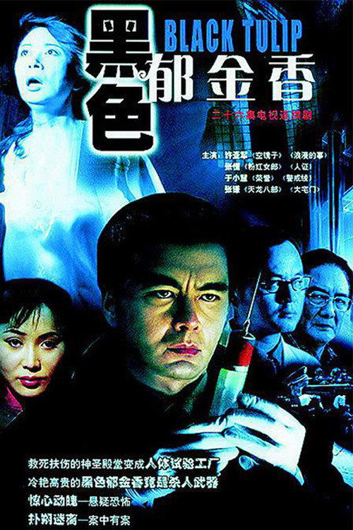 黑色郁金香 poster