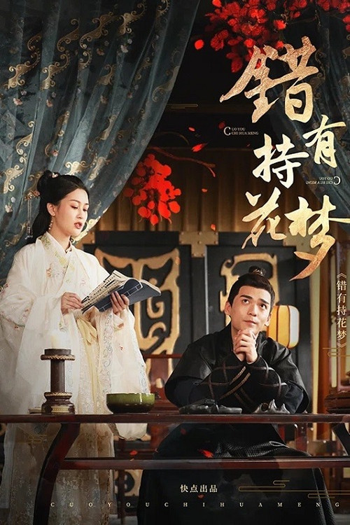错有持花梦 poster