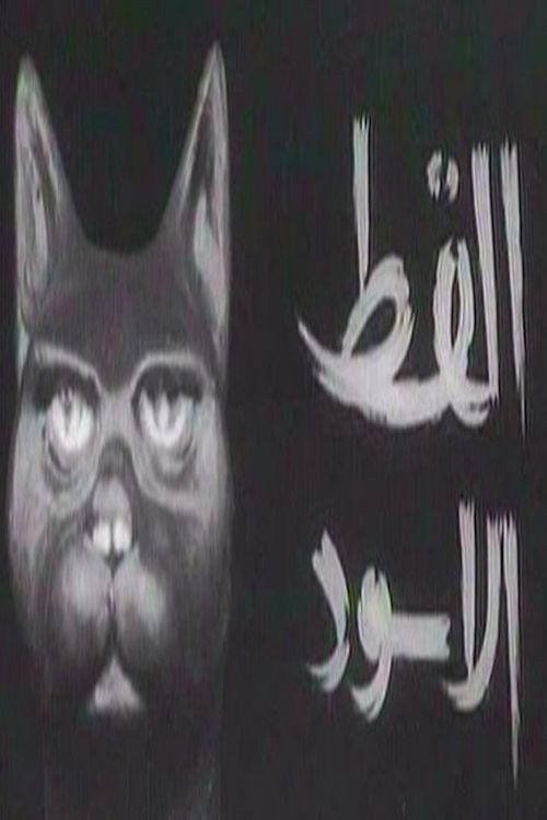 القط الأسود poster