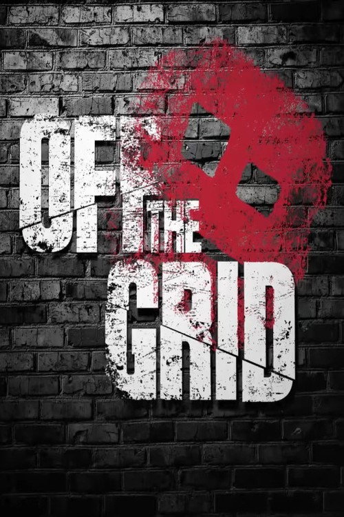 Stikbot: OFF THE GRID poster