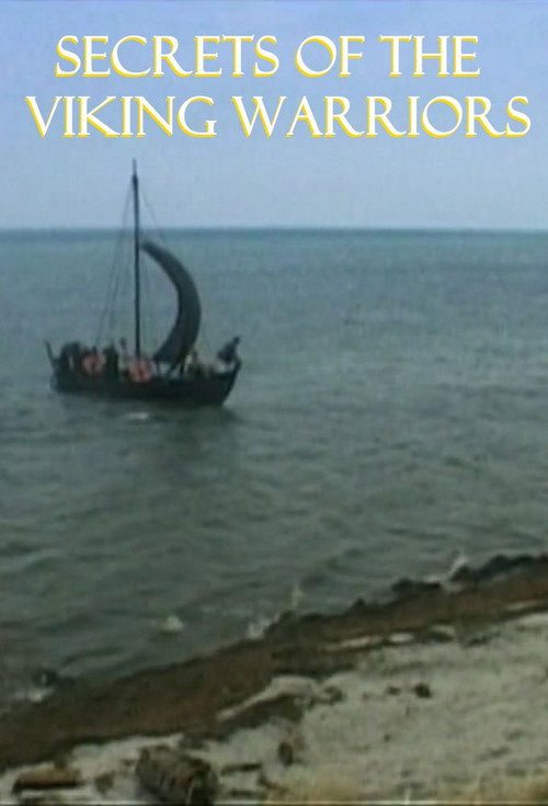 Secrets Of The Viking Warriors poster