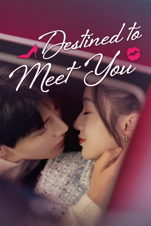 Destined to Meet You poster