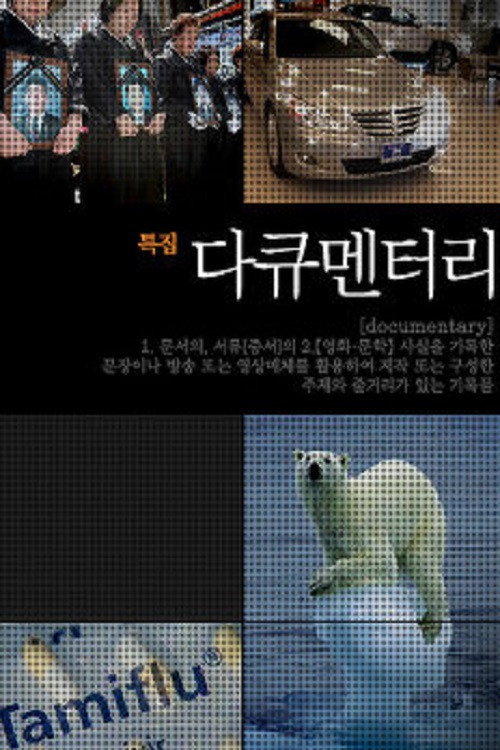 SBS 특집 다큐멘터리 poster