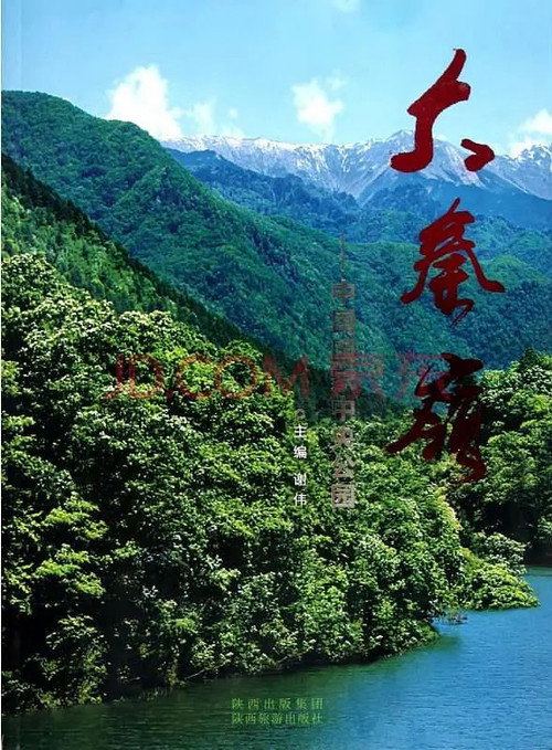 大秦岭 poster