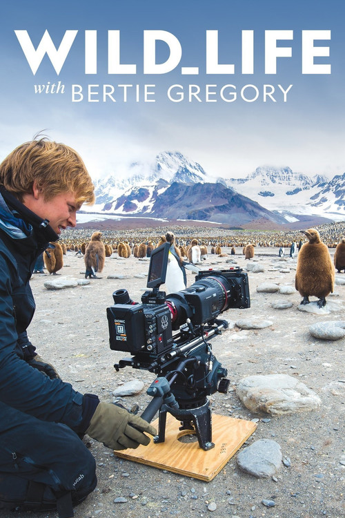 Wild Life with Bertie Gregory poster