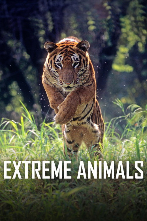 Extreme Animals poster