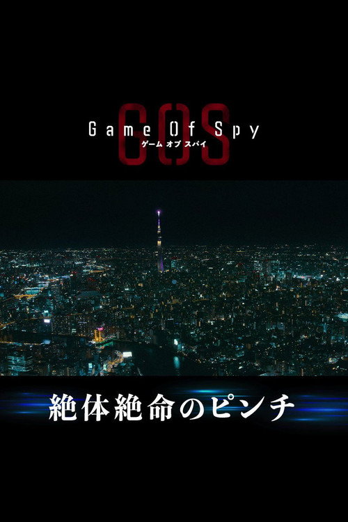 GAME OF SPY poster