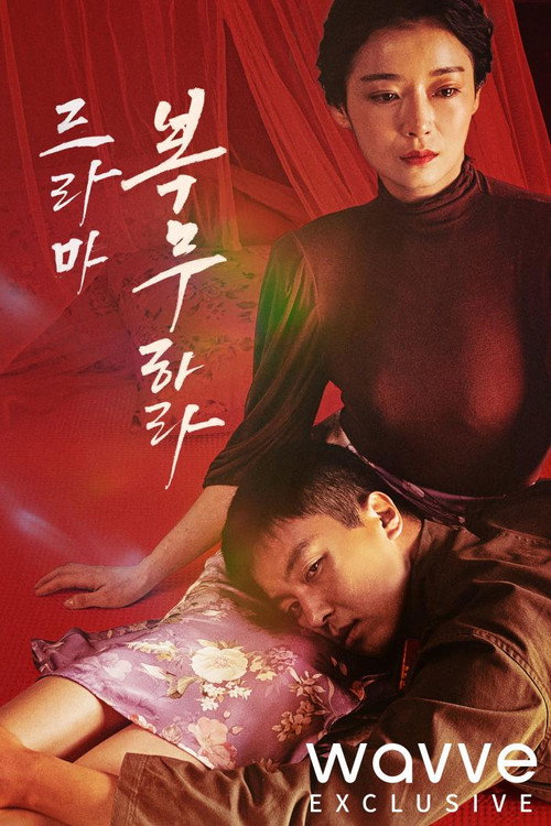 복무하라 poster