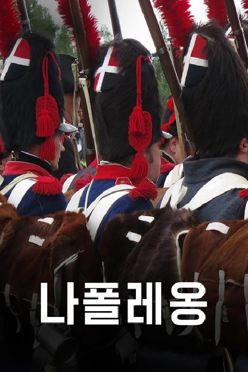 나폴레옹 poster