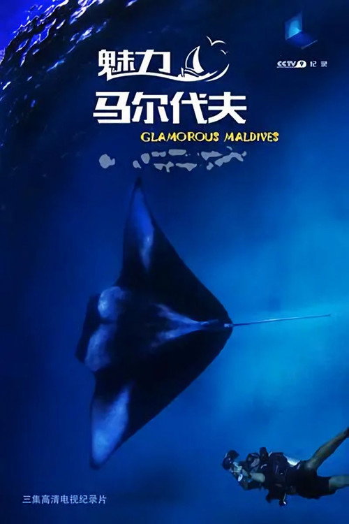 魅力马尔代夫 poster