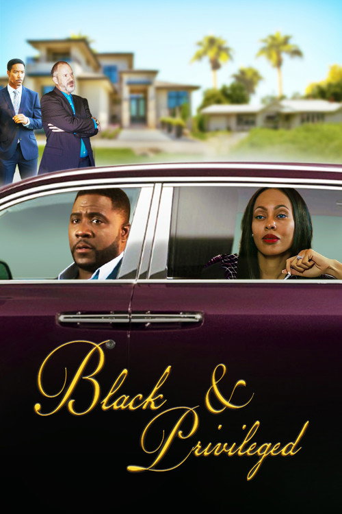 Black & Privileged poster